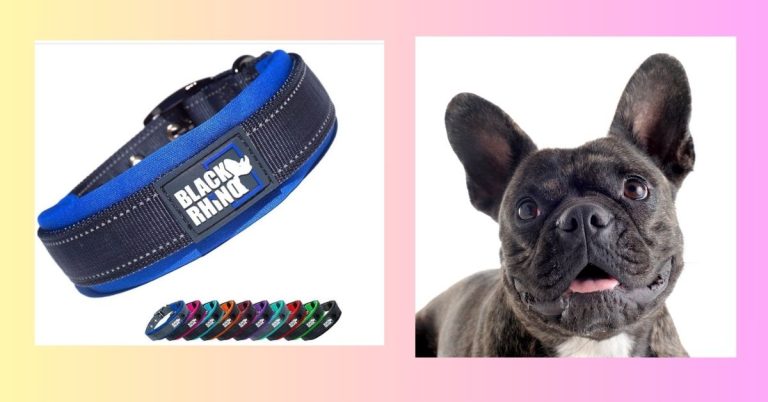 5 Best Dog Collar for French Bulldog: Top Picks and Buying Guide