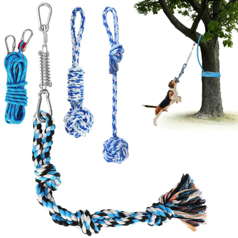 Best Outdoor Dog Swing for Large Dogs: Top Durable Picks