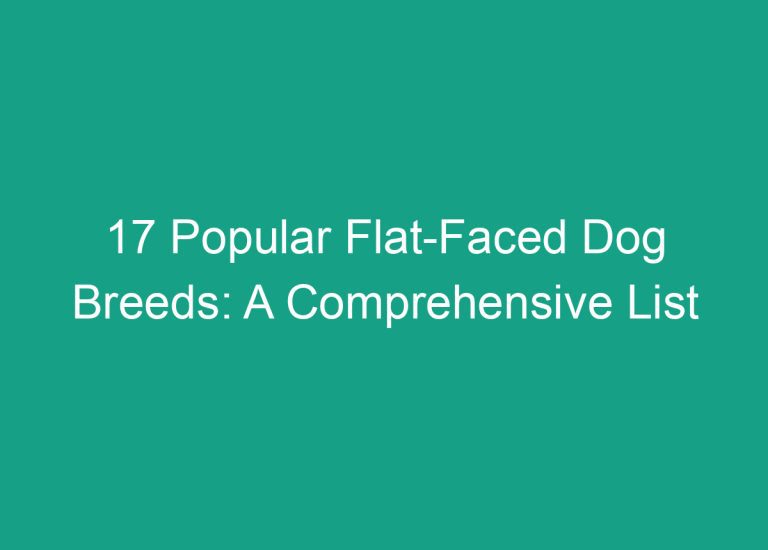 17 Popular Flat-Faced Dog Breeds: A Comprehensive List
