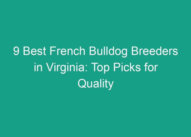 9 Best French Bulldog Breeders in Virginia: Top Picks for Quality Puppies