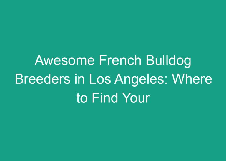 Awesome French Bulldog Breeders in Los Angeles: Where to Find Your Perfect Pup
