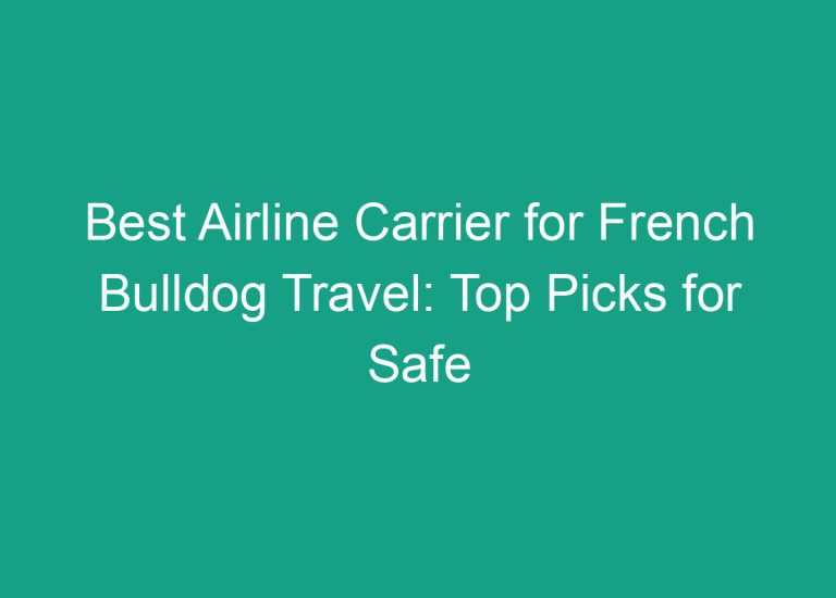 Best Airline Carrier for French Bulldog Travel: Top Picks for Safe and Comfortable Flights