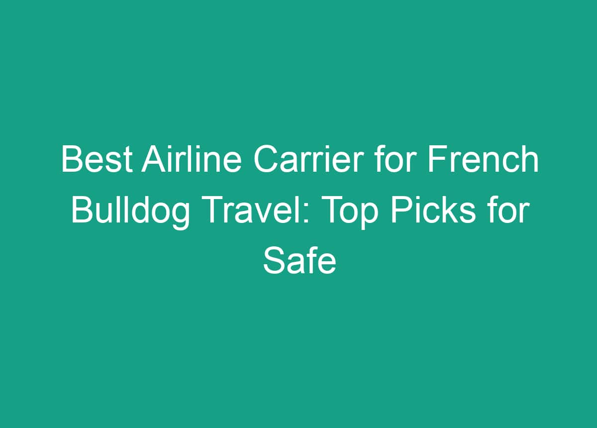 Best Airline Carrier For French Bulldog Travel Top Picks For Safe And