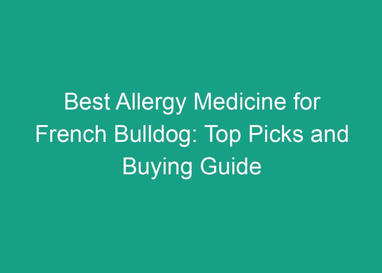 Best Allergy Medicine for French Bulldog: Top Picks and Buying Guide