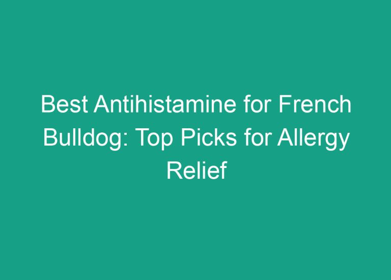 Best Antihistamine for French Bulldog: Top Picks for Allergy Relief