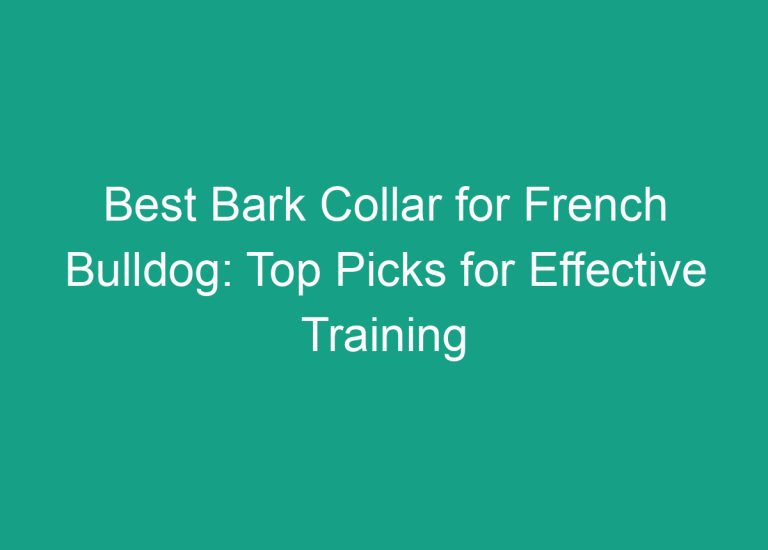 Best Bark Collar for French Bulldog: Top Picks for Effective Training