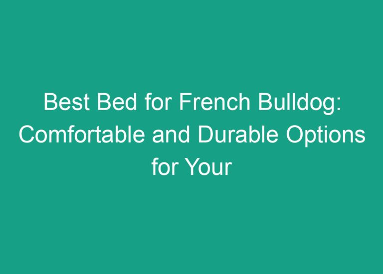 Best Bed for French Bulldog: Comfortable and Durable Options for Your Furry Friend