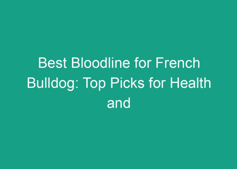 Best Bloodline for French Bulldog: Top Picks for Health and Temperament