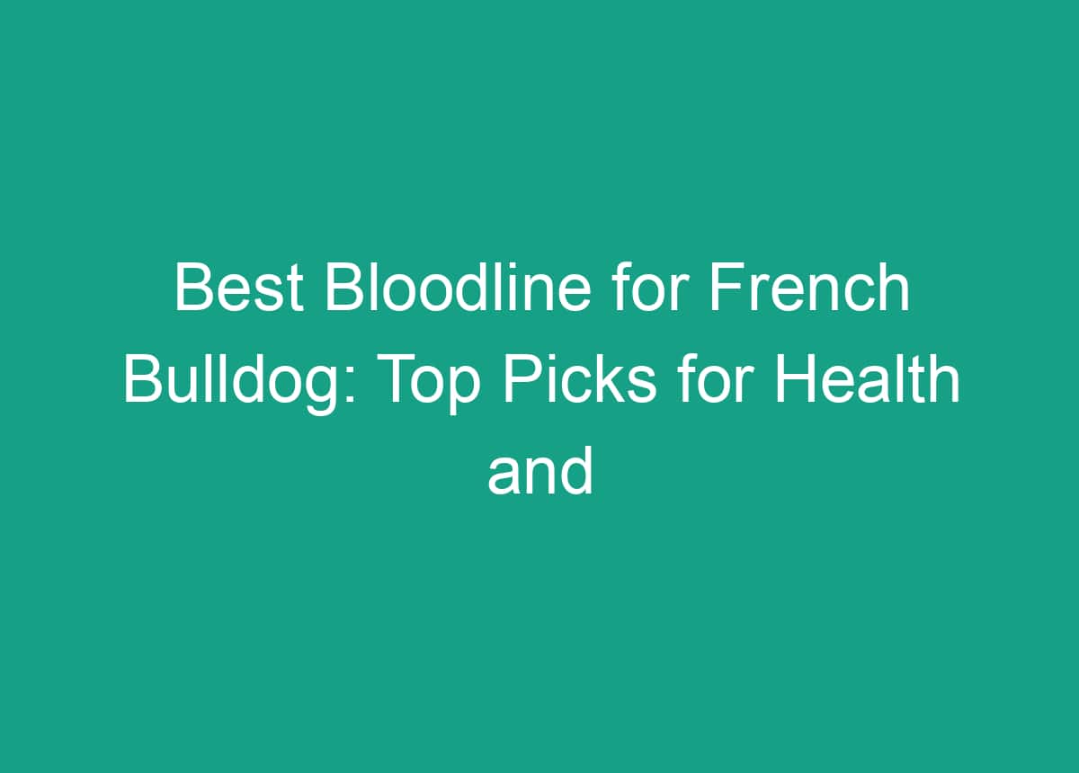 Best Bloodline For French Bulldog Top Picks For Health And Temperament