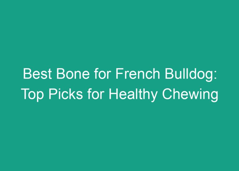 Best Bone for French Bulldog: Top Picks for Healthy Chewing