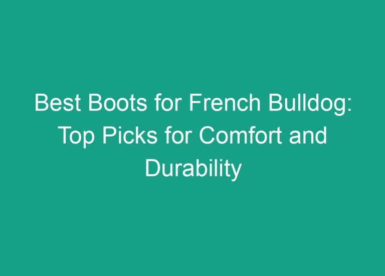 Best Boots for French Bulldog: Top Picks for Comfort and Durability