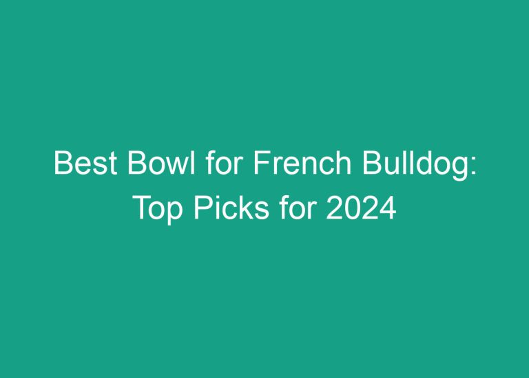 Best Bowl for French Bulldog: Top Picks for 2024