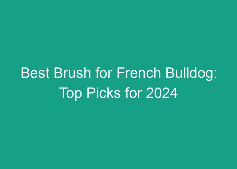 Best Brush for French Bulldog: Top Picks for 2024