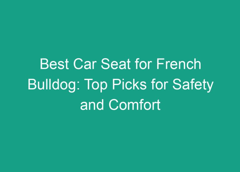 Best Car Seat for French Bulldog: Top Picks for Safety and Comfort