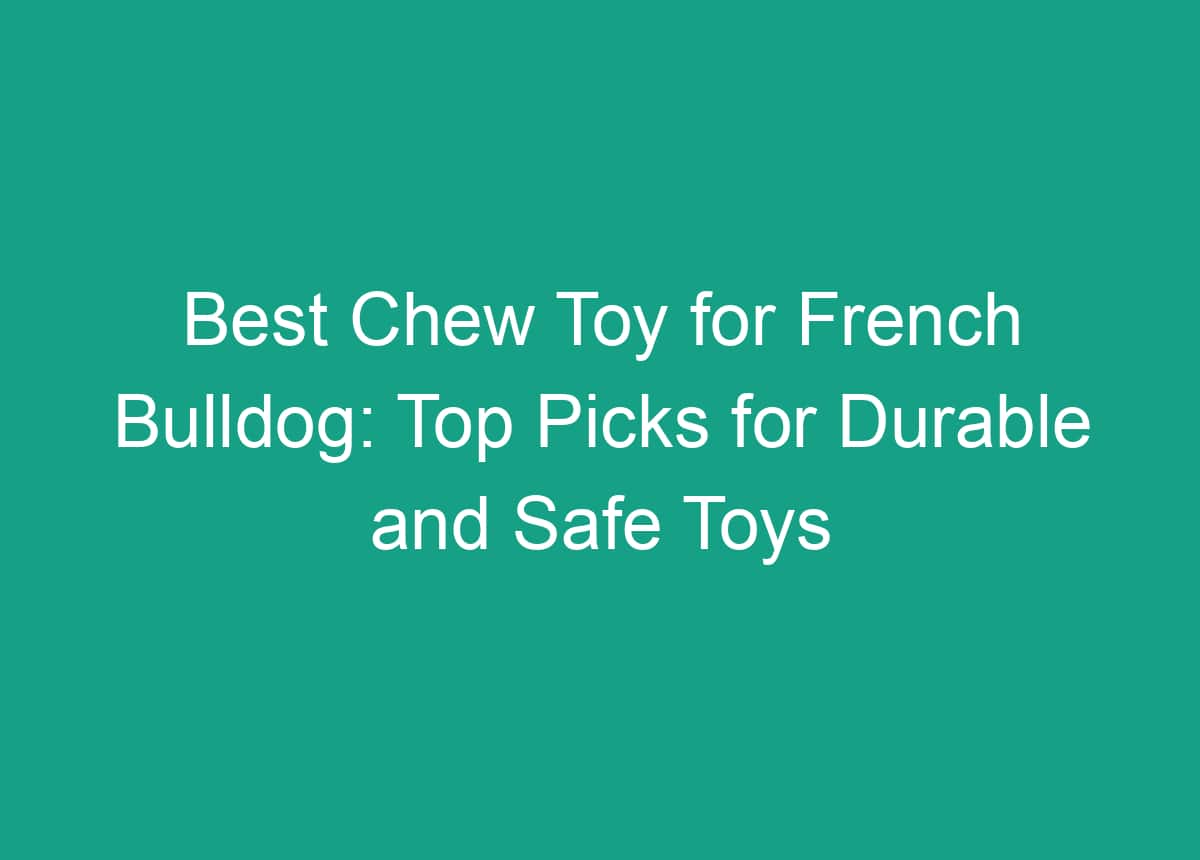 Best Chew Toy For French Bulldog Top Picks For Durable And Safe Toys