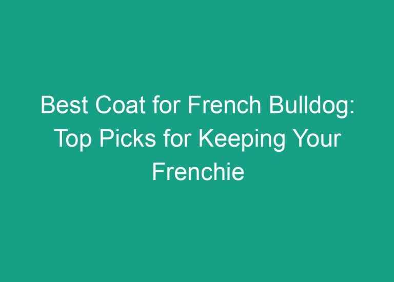 Best Coat for French Bulldog: Top Picks for Keeping Your Frenchie Warm and Stylish