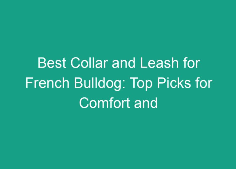 Best Collar and Leash for French Bulldog: Top Picks for Comfort and Durability