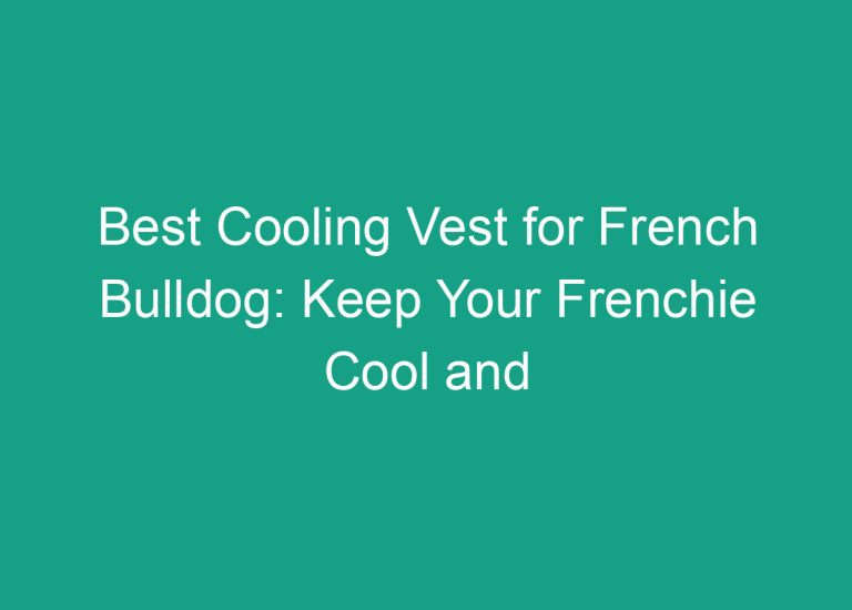 Best Cooling Vest for French Bulldog: Keep Your Frenchie Cool and Comfortable