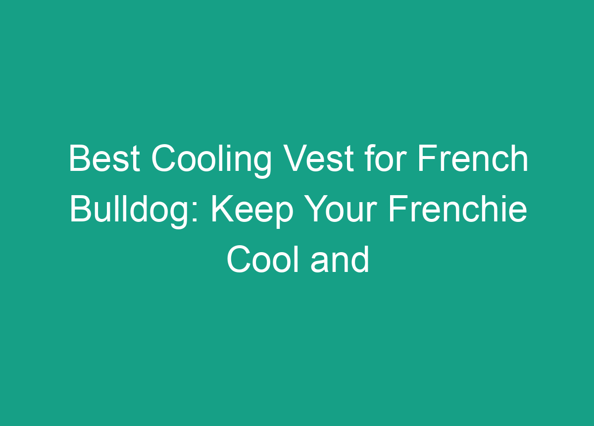 Best Cooling Vest For French Bulldog Keep Your Frenchie Cool And