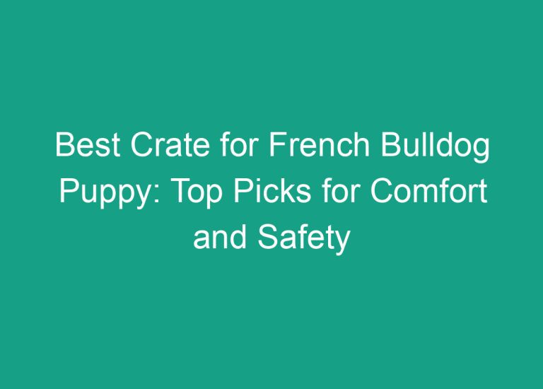 Best Crate for French Bulldog Puppy: Top Picks for Comfort and Safety