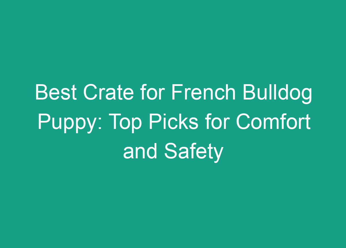 Best Crate For French Bulldog Puppy Top Picks For Comfort And Safety