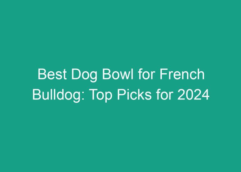 Best Dog Bowl for French Bulldog: Top Picks for 2024