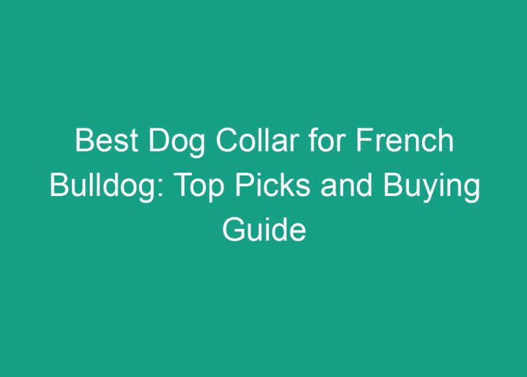 Best Dog Collar for French Bulldog: Top Picks and Buying Guide