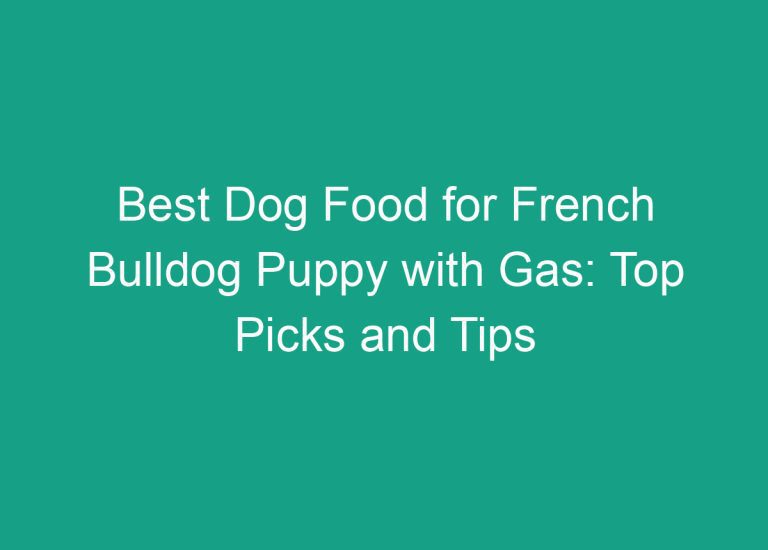 Best Dog Food for French Bulldog Puppy with Gas: Top Picks and Tips