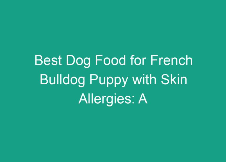 Best Dog Food for French Bulldog Puppy with Skin Allergies: A Comprehensive Guide