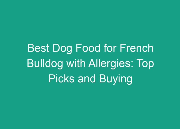 Best Dog Food for French Bulldog with Allergies: Top Picks and Buying Guide