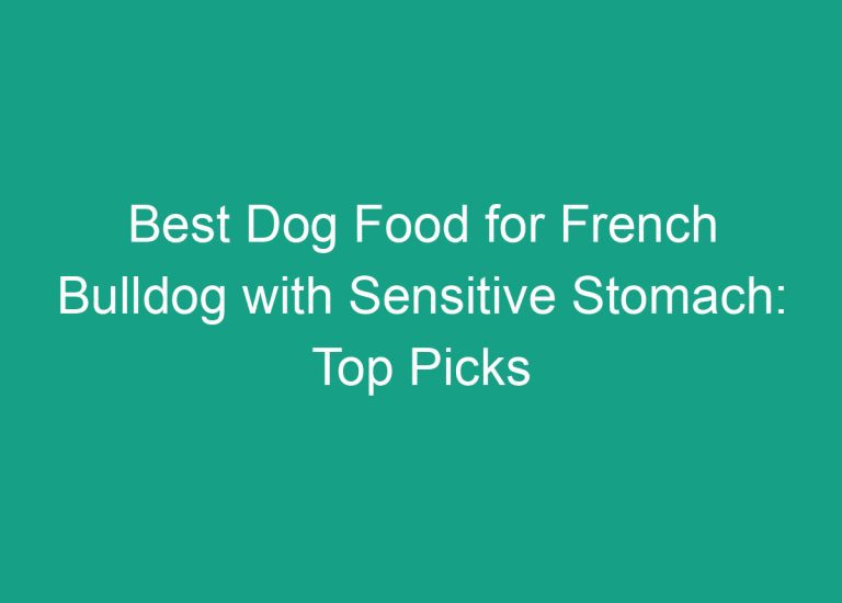 Best Dog Food for French Bulldog with Sensitive Stomach: Top Picks and Buying Guide