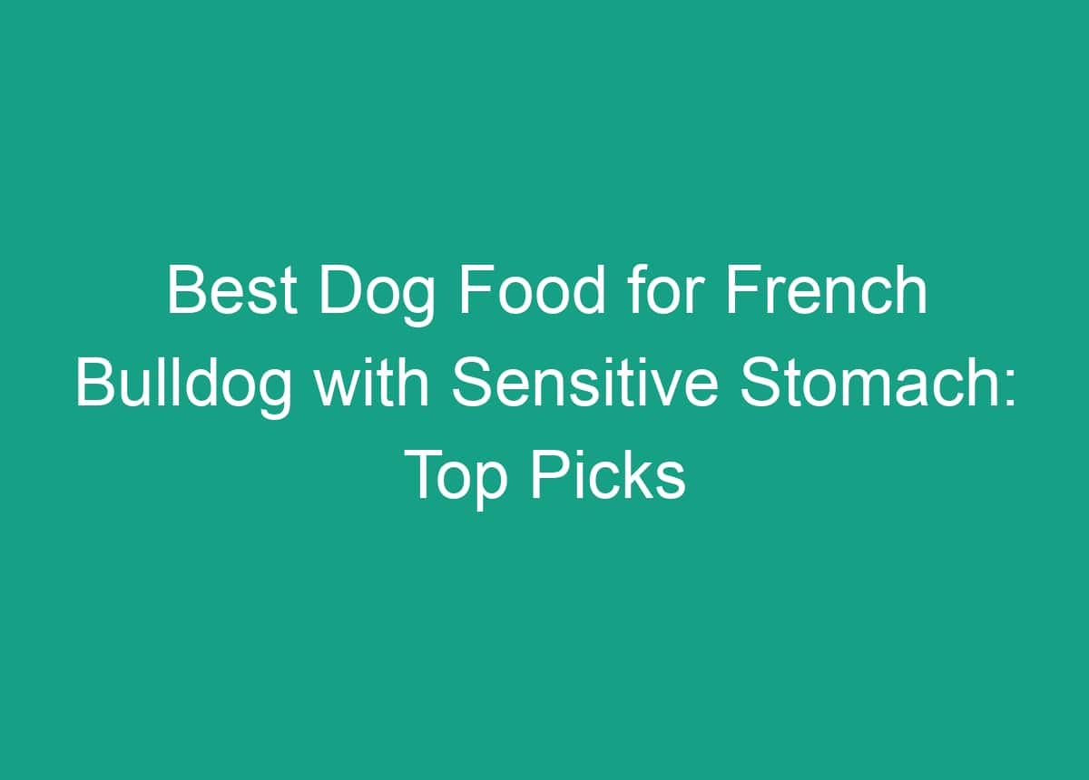 Best Food For French Bulldogs With Sensitive Stomach