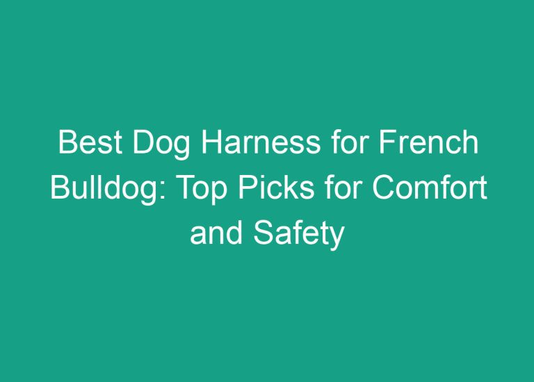 Best Dog Harness for French Bulldog: Top Picks for Comfort and Safety