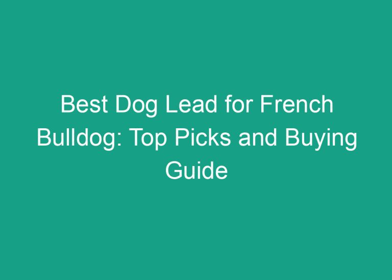 Best Dog Lead for French Bulldog: Top Picks and Buying Guide