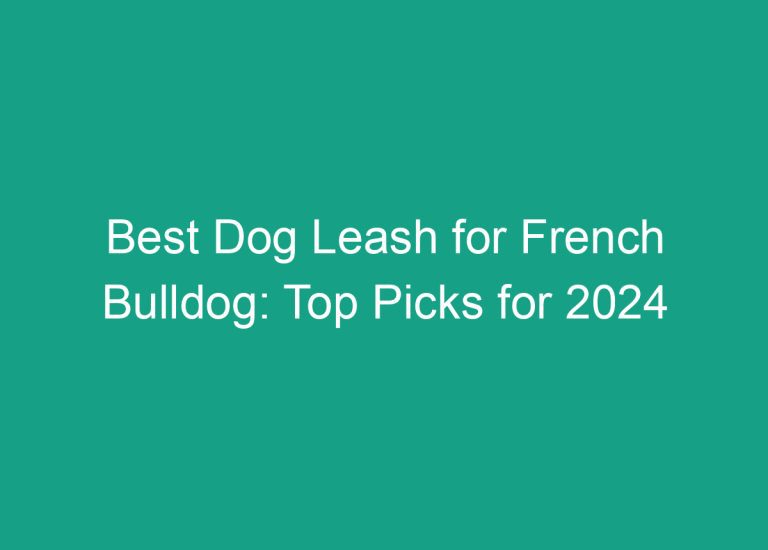 Best Dog Leash for French Bulldog: Top Picks for 2024