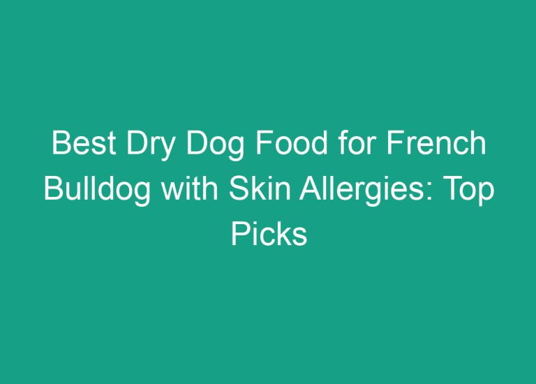 Best Dry Dog Food for French Bulldog with Skin Allergies: Top Picks and Reviews