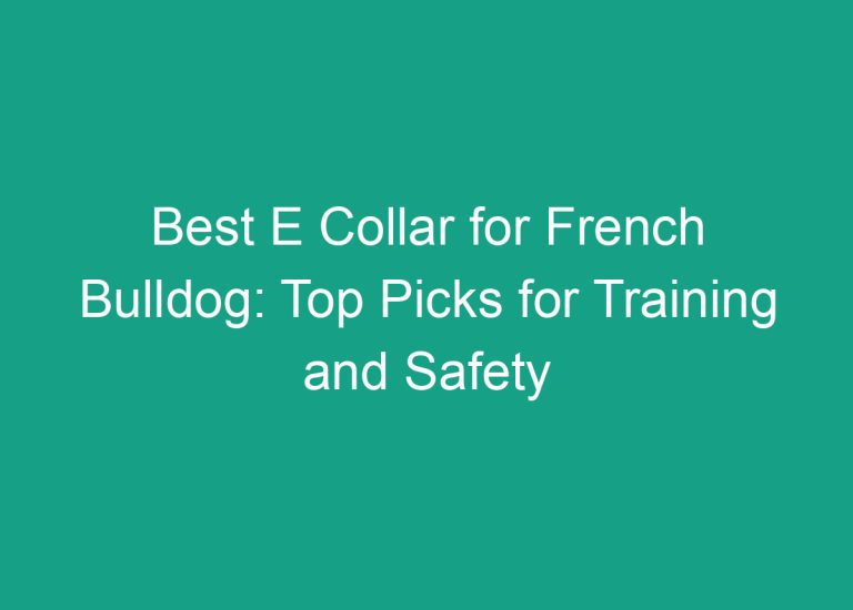 Best E Collar for French Bulldog: Top Picks for Training and Safety