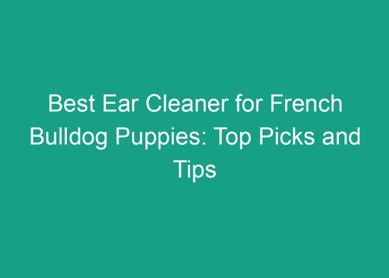 Best Ear Cleaner for French Bulldog Puppies: Top Picks and Tips