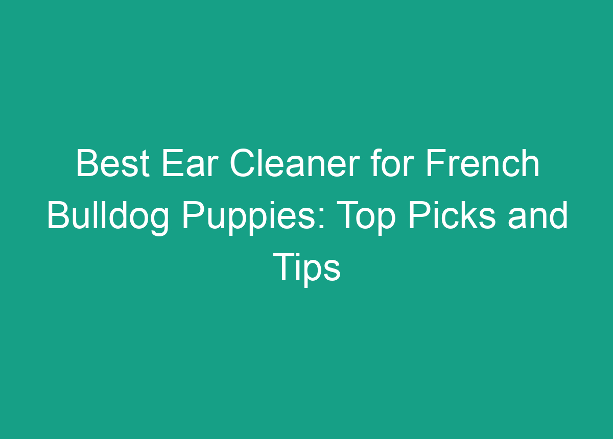 Best Ear Cleaner For French Bulldog Puppies: Top Picks And Tips