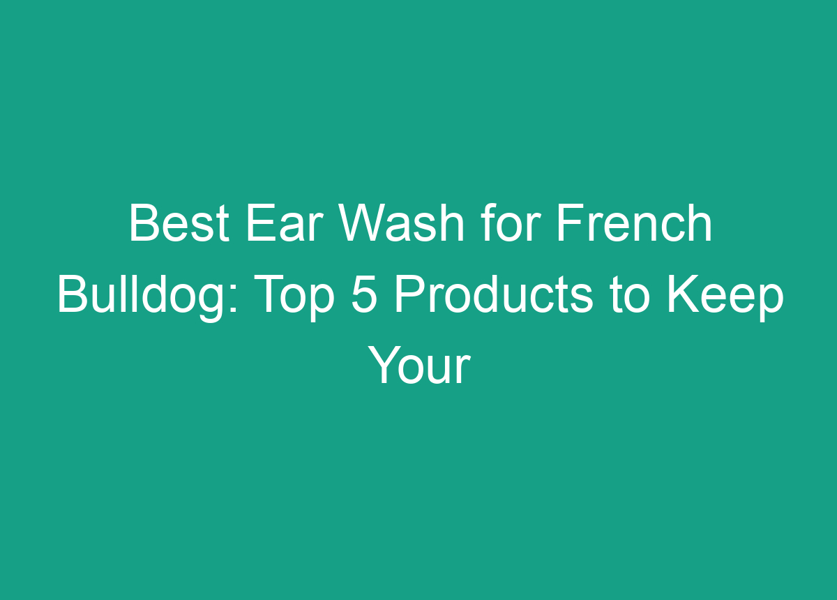 Best Ear Wash For French Bulldog Top 5 Products To Keep Your Frenchie