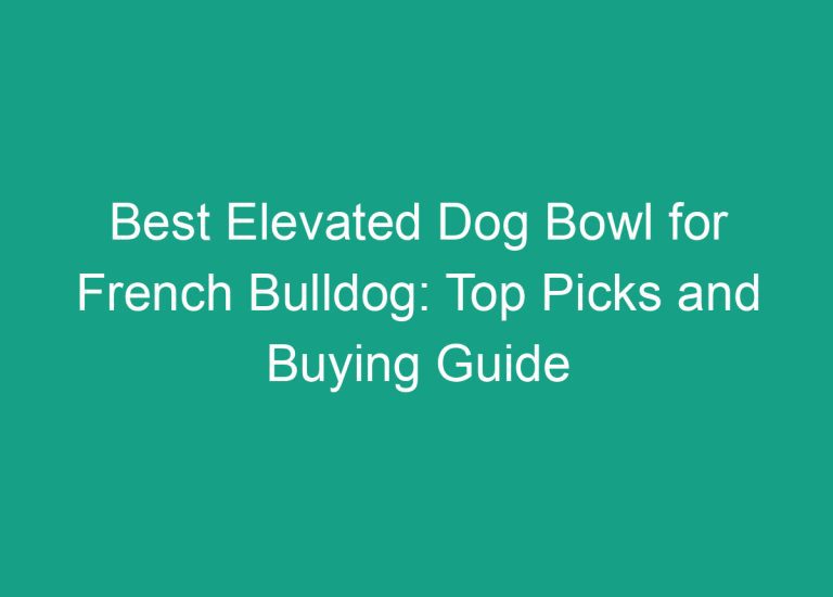 Best Elevated Dog Bowl for French Bulldog: Top Picks and Buying Guide