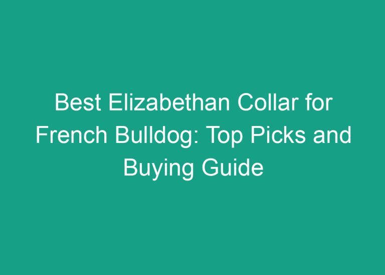 Best Elizabethan Collar for French Bulldog: Top Picks and Buying Guide