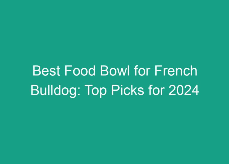 Best Food Bowl for French Bulldog: Top Picks for 2024