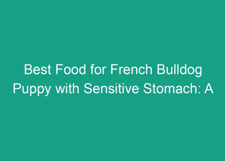 Best Food for French Bulldog Puppy with Sensitive Stomach: A Comprehensive Guide