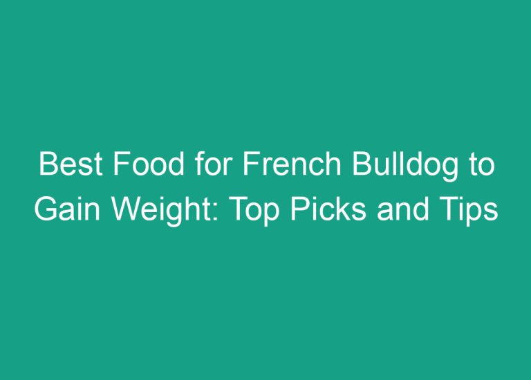 Best Food for French Bulldog to Gain Weight: Top Picks and Tips