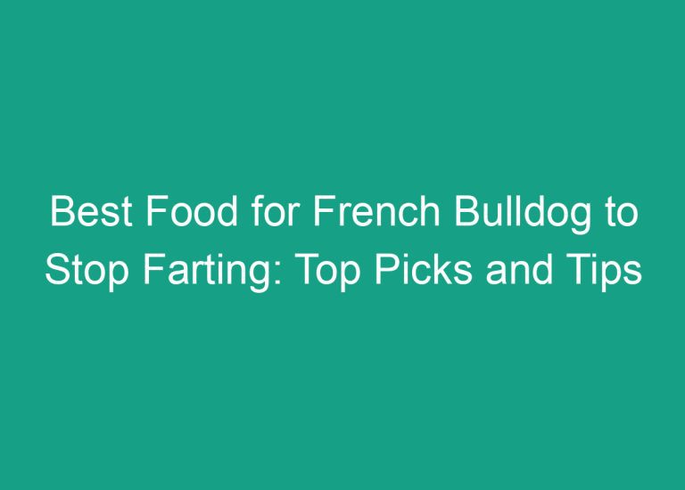 Best Food for French Bulldog to Stop Farting: Top Picks and Tips