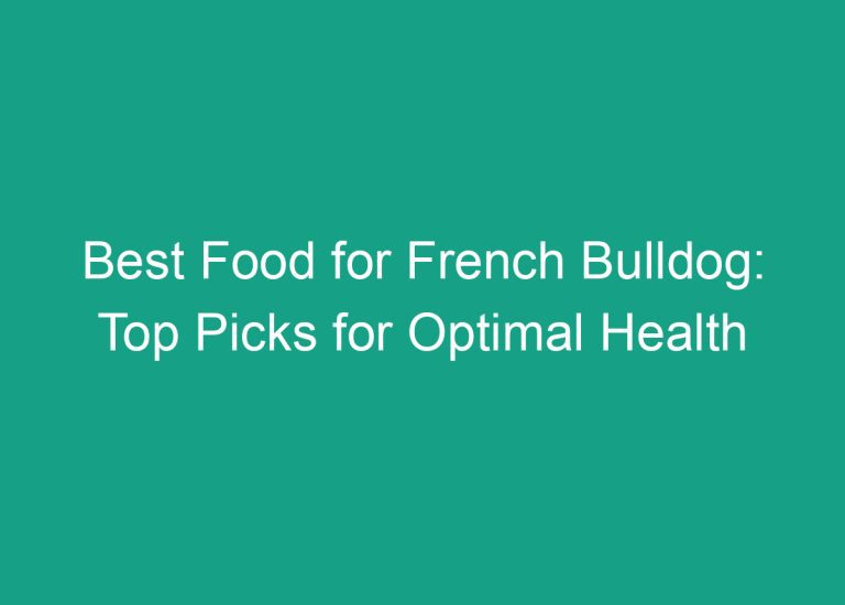 Best Food for French Bulldog: Top Picks for Optimal Health