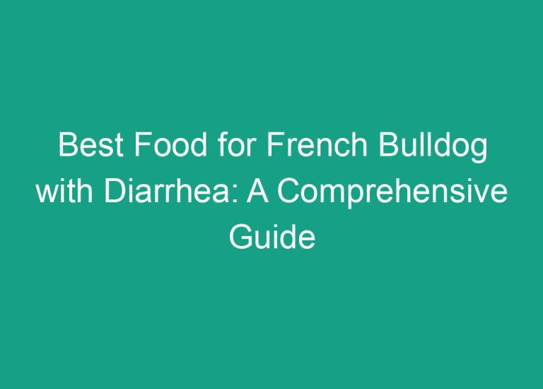 Best Food for French Bulldog with Diarrhea: A Comprehensive Guide