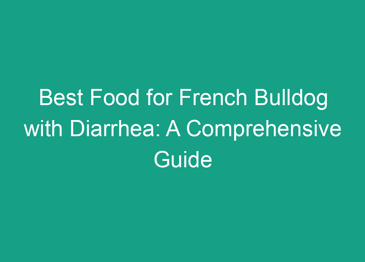 Best Food For French Bulldog With Diarrhea A Comprehensive Guide