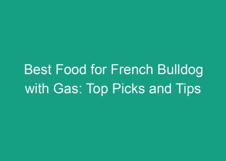 Best Food for French Bulldog with Gas: Top Picks and Tips